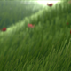 Illustration for article titled ThatGameCompany And The Beauty Of Taking Risks